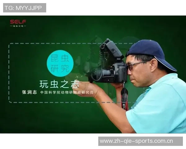 重庆网球队技术揭秘:网球巨献背后的训练与策略分析
