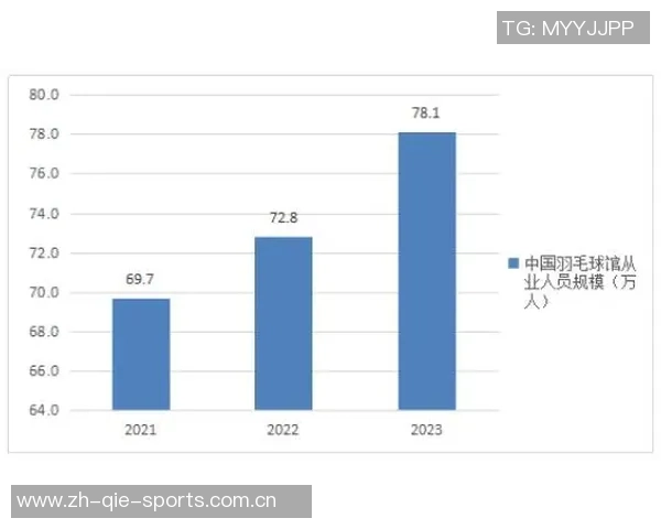 重庆羽毛球队意识探讨与发展方向分析的深度研究与思考